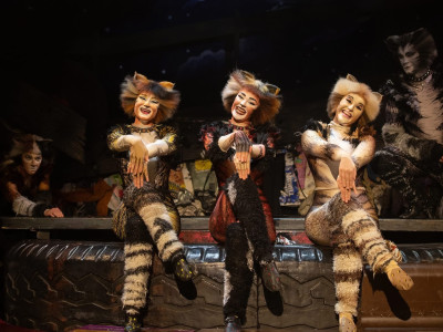 Olivia in Cats